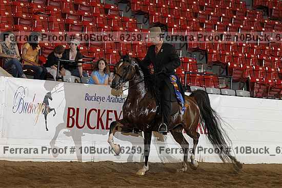 Proof Number 10buck_6259