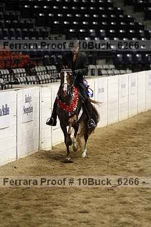Proof Number 10buck_6266