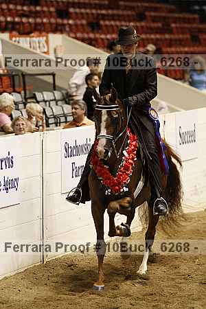 Proof Number 10buck_6268