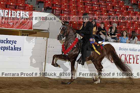 Proof Number 10buck_6269