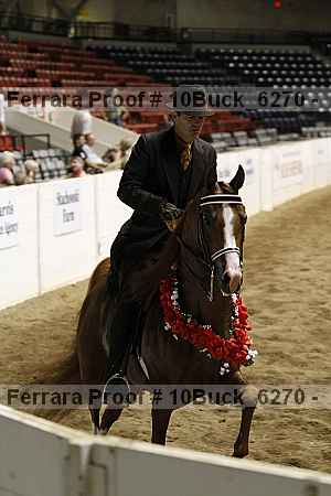 Proof Number 10buck_6270