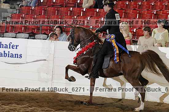 Proof Number 10buck_6271