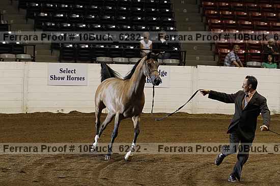 Proof Number 10buck_6282