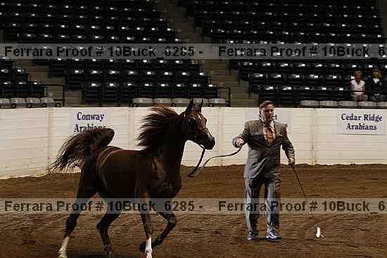 Proof Number 10buck_6285