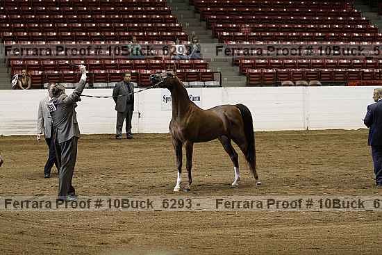 Proof Number 10buck_6293
