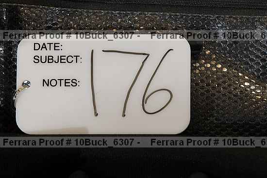 Proof Number 10buck_6307