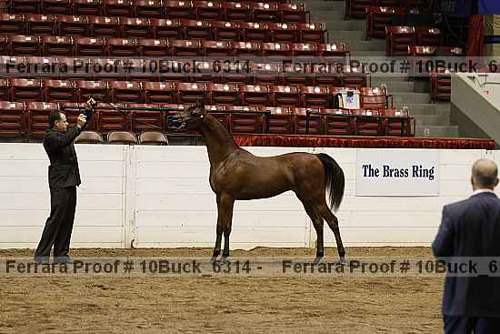 Proof Number 10buck_6314