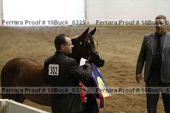 Proof Number 10buck_6325