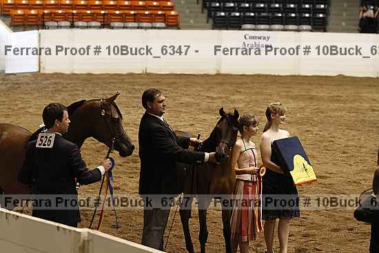 Proof Number 10buck_6347