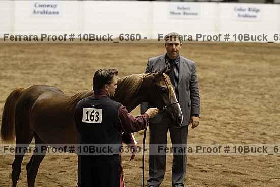 Proof Number 10buck_6360