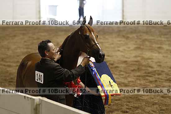 Proof Number 10buck_6402