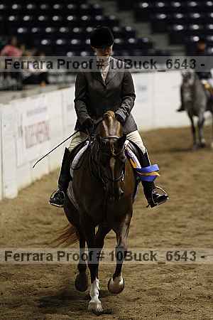 Proof Number 10buck_6543
