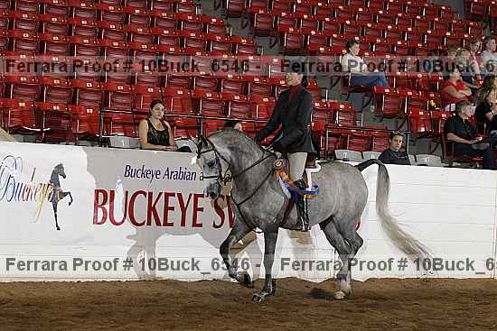 Proof Number 10buck_6546