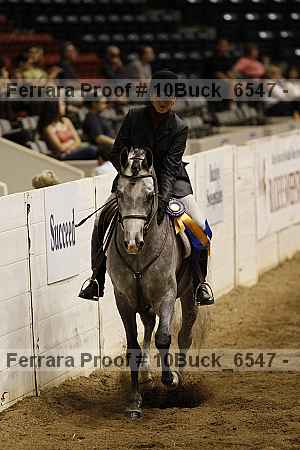 Proof Number 10buck_6547