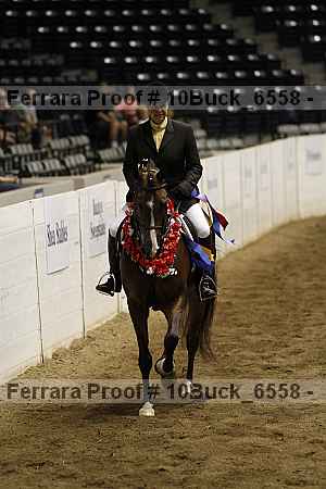 Proof Number 10buck_6558