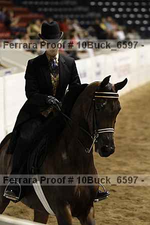 Proof Number 10buck_6597