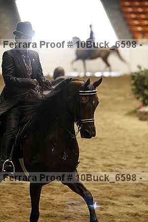 Proof Number 10buck_6598