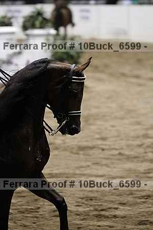 Proof Number 10buck_6599