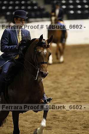 Proof Number 10buck_6602