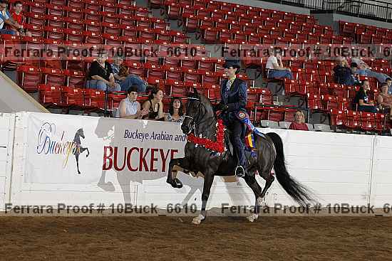 Proof Number 10buck_6610