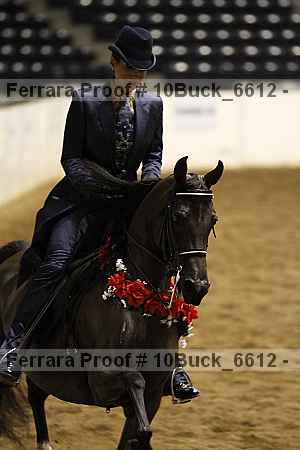Proof Number 10buck_6612