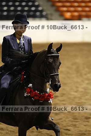 Proof Number 10buck_6613