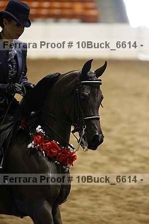 Proof Number 10buck_6614