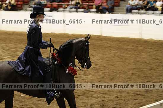 Proof Number 10buck_6615
