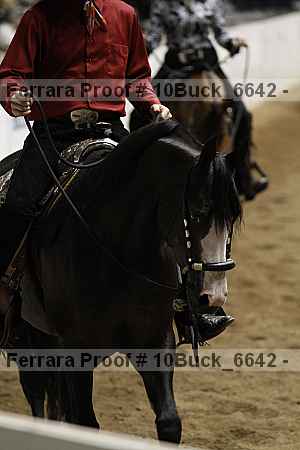 Proof Number 10buck_6642