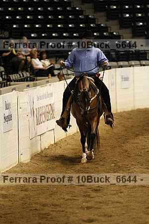 Proof Number 10buck_6644