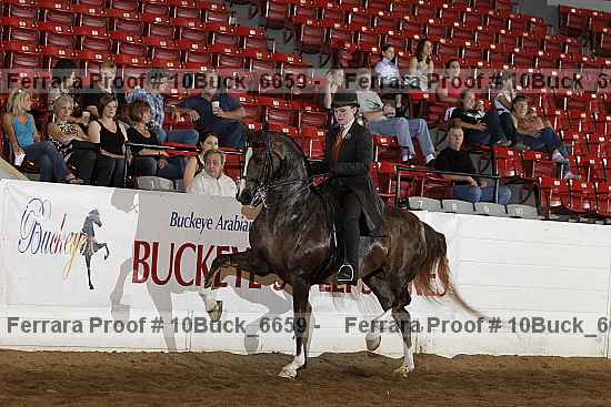 Proof Number 10buck_6659