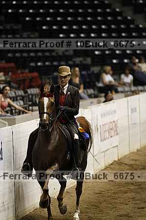 Proof Number 10buck_6675