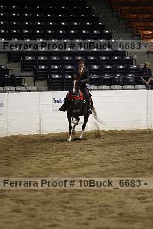 Proof Number 10buck_6683