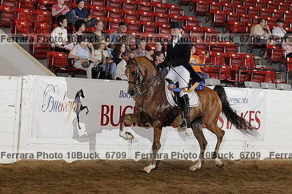 Proof Number 10buck_6709