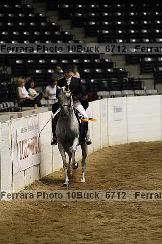 Proof Number 10buck_6712