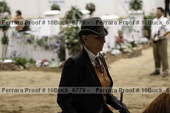 Proof Number 10buck_6779