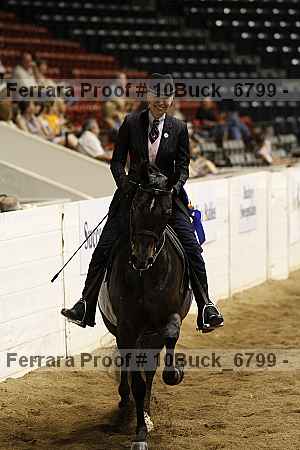 Proof Number 10buck_6799