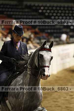 Proof Number 10buck_6803