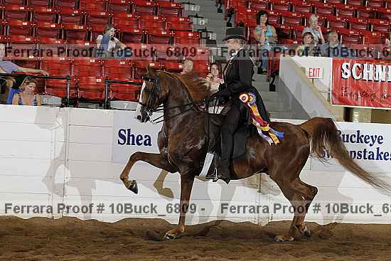 Proof Number 10buck_6809
