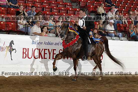 Proof Number 10buck_6813