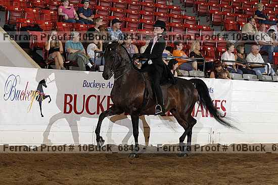 Proof Number 10buck_6845
