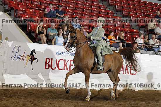 Proof Number 10buck_6847