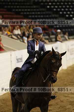 Proof Number 10buck_6851
