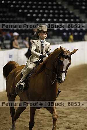 Proof Number 10buck_6853