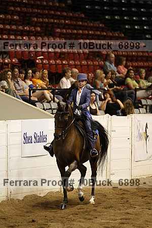 Proof Number 10buck_6898