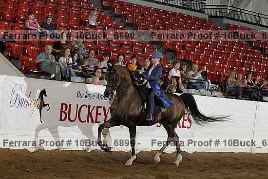 Proof Number 10buck_6899