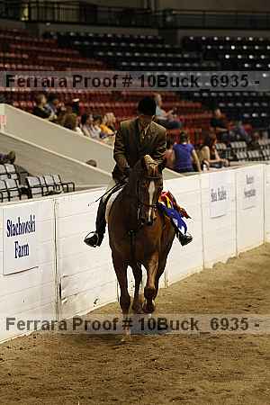 Proof Number 10buck_6935