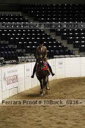 Proof Number 10buck_6936