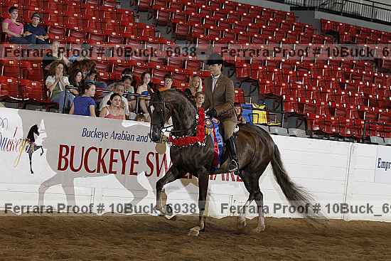 Proof Number 10buck_6938