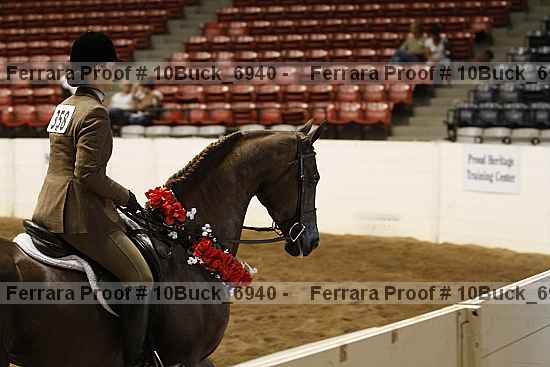 Proof Number 10buck_6940